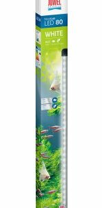 Juwel Novolux 80 White Neo