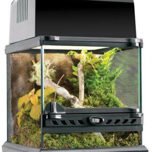 ExoTerra Terrarium 20x20x20cm Nano Wide