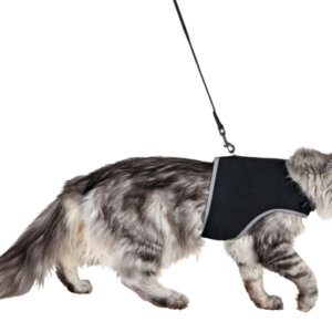 Kattseleväst XXL & Koppel Svart