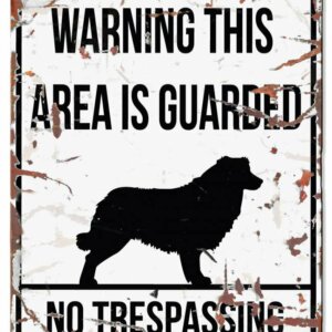 Metallskylt ''Warning'' Collie Vit L