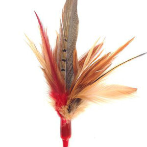 Go Cat Da Bird Wild Things Tafs