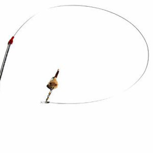 Go Cat Catcher