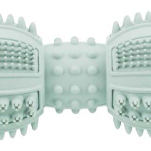 Junior Dental Apport Mint 9cm
