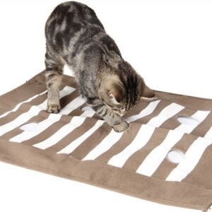 Cat Activity Lekmatta 70 x 50 cm