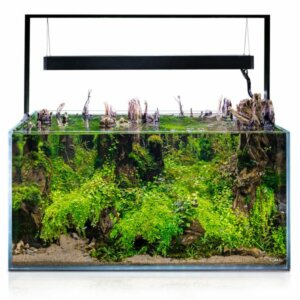 AquaEl Ultrascape Forest Brun 243L