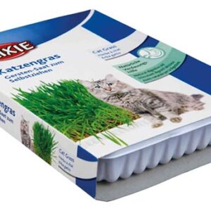Kattgräs i Odlingslåda 100g