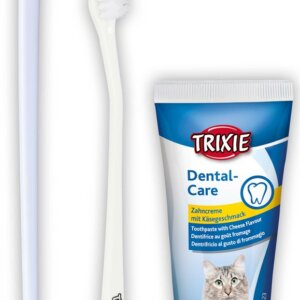 Tandvårdset till Katt