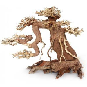 Ozami Bonsai Wood L 30x23x15cm