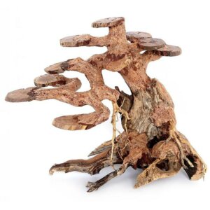 Ozami Bonsai Wood 23x17x10cm