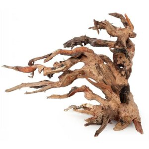 Ozami Bonsai Wood 25x20x14cm