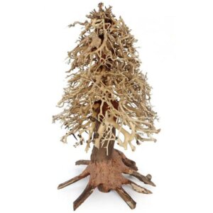 Ozami Bonsai Wood 20x30x20cm
