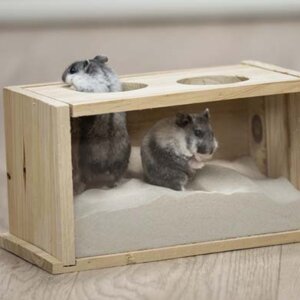 Sandbad Mus/Hamster