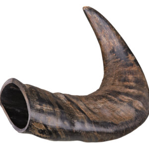 Buffelhorn M