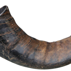 Buffelhorn L
