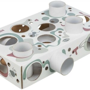 Cat Activity Paws' N Treats Box