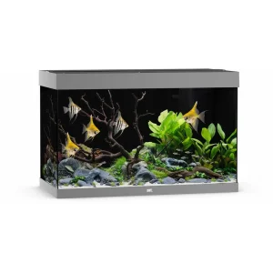 Juwel Akvarium LED Rio 290 Grå