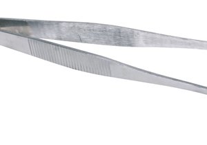 Utfodringspincett Rak 20cm