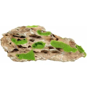 Kipouss Stone S W/ Live Plant Seeds