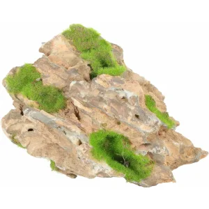 Kipouss Stone M W/ Live Plant Seeds
