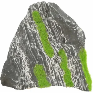 Kipouss 2 Colour Stone M W/ Live Plant Seeds