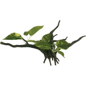 Drivved Planta 34cm