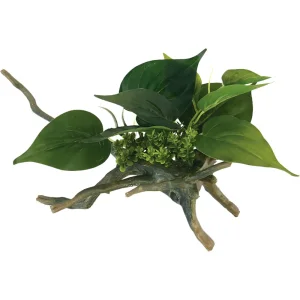 Drivved Planta 25cm