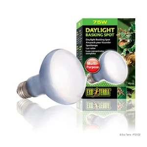 EXT Daylight Basking Spot 75W ''Grön''