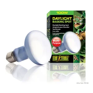 EXT Daylight Basking Spot 100W ''Grön''