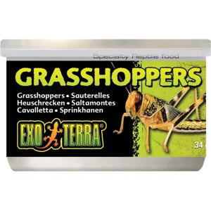 EXT Gräshoppor Konserverade 35g