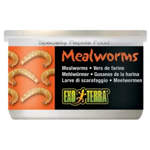 EXT Mjölmaskar Konserverade 35g