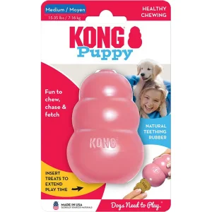 Kong Puppy M