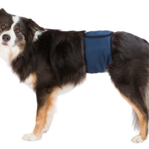Hanhundsskydd XL