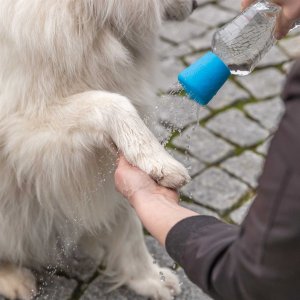 Mobil Tassdusch för PET Flaska Blå