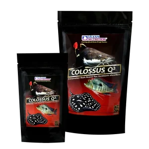 ON Colossus Q2 500g
