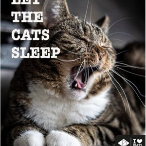Metallskylt Let The Cats Sleep