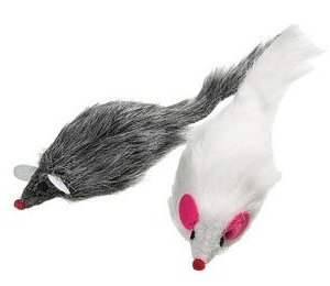 Pälsmus Långhårig med Pip