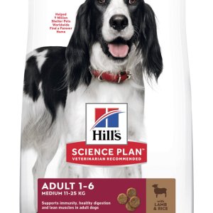 Hill´s C Adult Lamb & Rice M 2,5kg