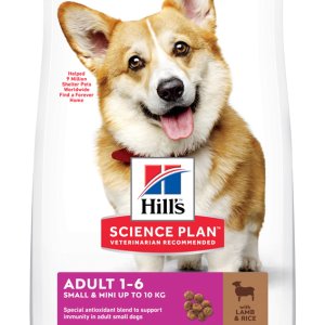 Hill´s C Adult Lamb & Rice S&M 6kg