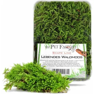 Levande Mossa 1L