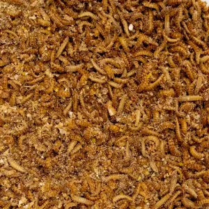 Buffalomask 70ml