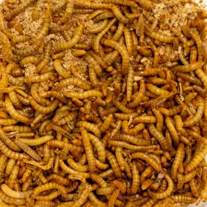 Mjölmask 50g