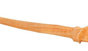 Tjurmuskel 30cm
