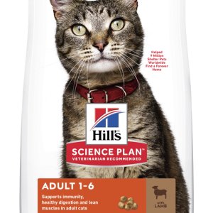 Hill´s F Adult Lamb & Rice 1,5kg