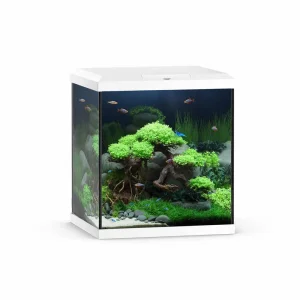 Juwel Akvarium Vio Cube 54 Vit