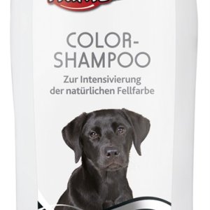 Schampo Svart 250ml