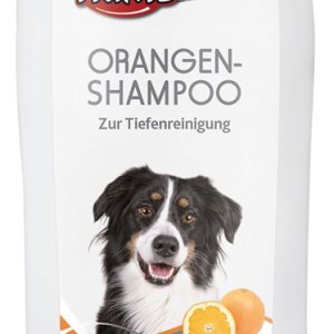 Schampo Apelsin 250ml