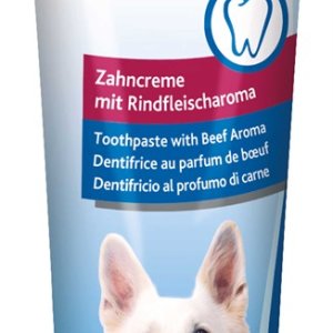 Hund Tandkräm Köttsmak 100g