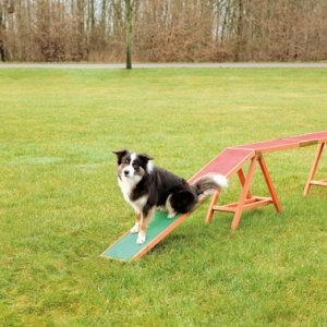 Agility Ramp 456x64x30cm
