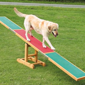Agility Gungbräda i Trä 300x34x54cm