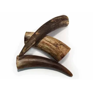 Emmzo Oxhorn 7-20cm 1kg